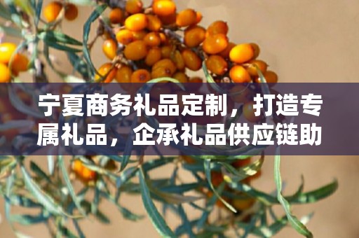 宁夏商务礼品定制，打造专属礼品，企承礼品供应链助力商务往来